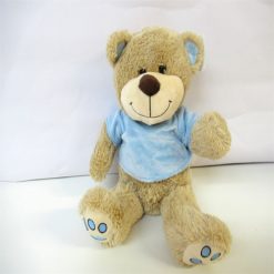 Small T-Shirt Teddy 1