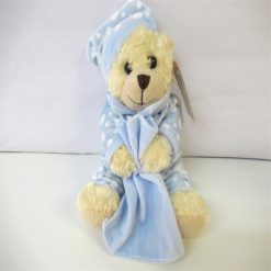 Small Velour Bear with Blanket 1