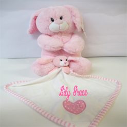 Teddy and Comforter 1N